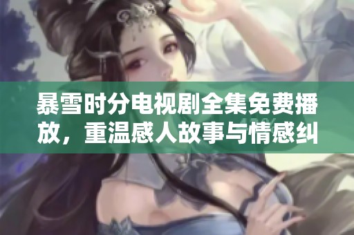 暴雪时分电视剧全集免费播放，重温感人故事与情感纠葛