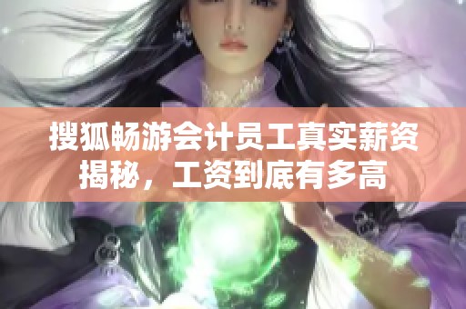搜狐畅游会计员工真实薪资揭秘，工资到底有多高
