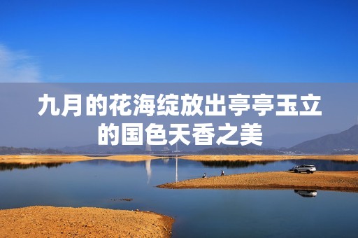 九月的花海绽放出亭亭玉立的国色天香之美