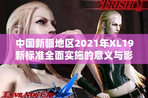 中国新疆地区2021年XL19新标准全面实施的意义与影响