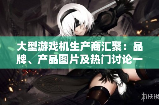 大型游戏机生产商汇聚：品牌、产品图片及热门讨论一览
