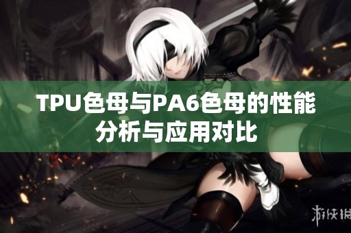 TPU色母与PA6色母的性能分析与应用对比