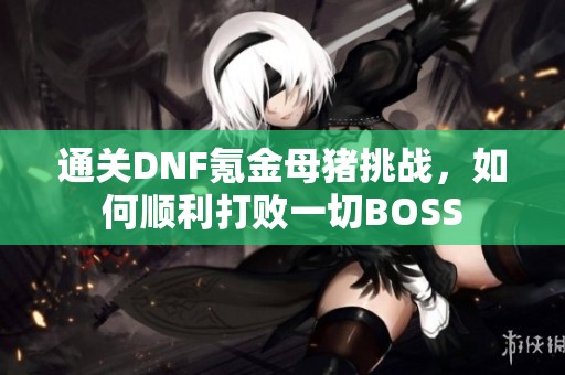 通关DNF氪金母猪挑战，如何顺利打败一切BOSS