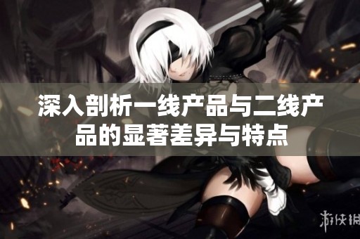 深入剖析一线产品与二线产品的显著差异与特点