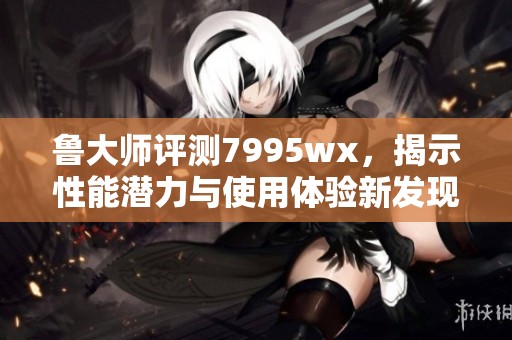 鲁大师评测7995wx，揭示性能潜力与使用体验新发现