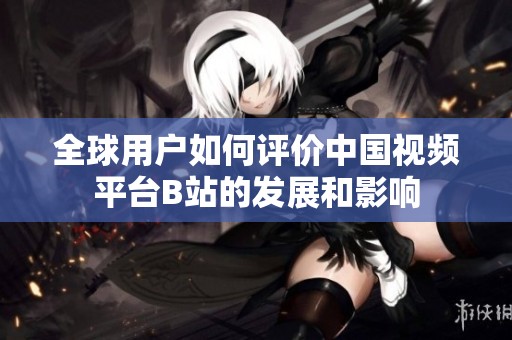 全球用户如何评价中国视频平台B站的发展和影响