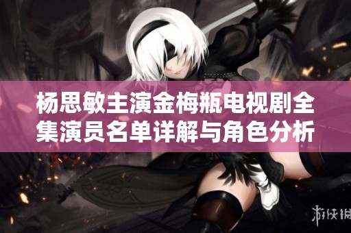 杨思敏主演金梅瓶电视剧全集演员名单详解与角色分析