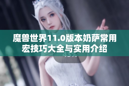 魔兽世界11.0版本奶萨常用宏技巧大全与实用介绍
