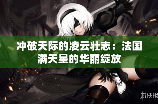 冲破天际的凌云壮志：法国满天星的华丽绽放