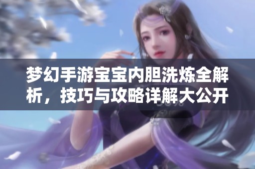 梦幻手游宝宝内胆洗炼全解析，技巧与攻略详解大公开