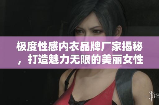 极度性感内衣品牌厂家揭秘，打造魅力无限的美丽女性