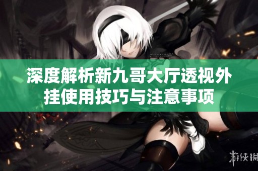 深度解析新九哥大厅透视外挂使用技巧与注意事项