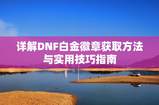 详解DNF白金徽章获取方法与实用技巧指南