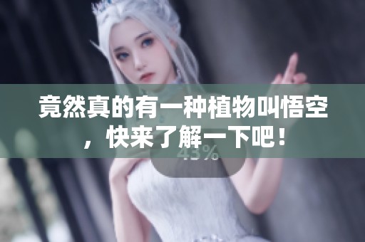 竟然真的有一种植物叫悟空，快来了解一下吧！