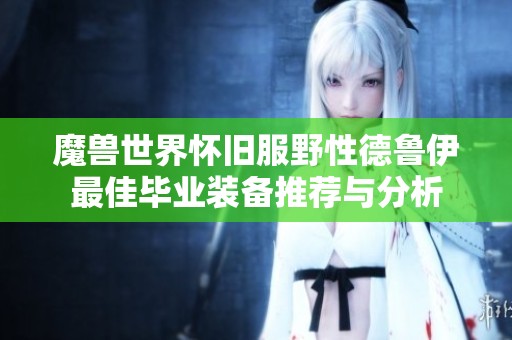 魔兽世界怀旧服野性德鲁伊最佳毕业装备推荐与分析