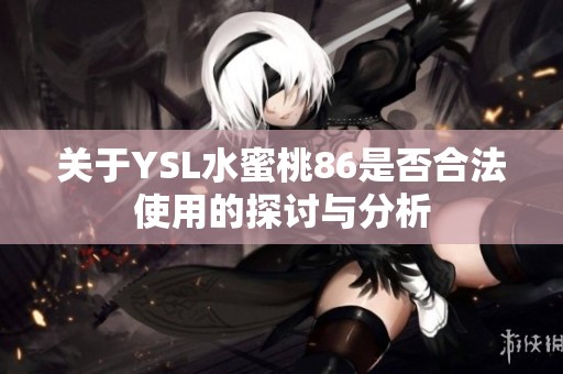 关于YSL水蜜桃86是否合法使用的探讨与分析