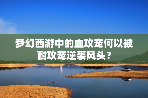 梦幻西游中的血攻宠何以被耐攻宠逆袭风头？