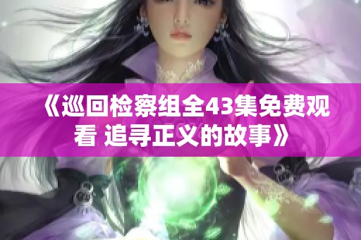 《巡回检察组全43集免费观看 追寻正义的故事》