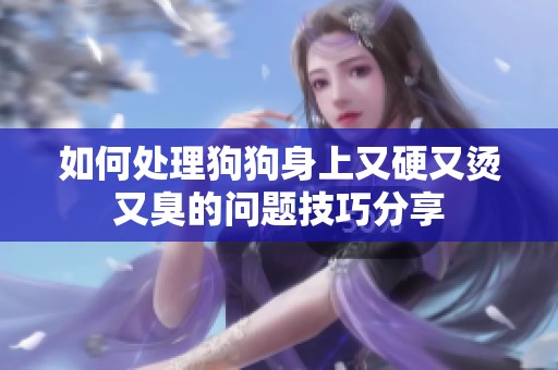 如何处理狗狗身上又硬又烫又臭的问题技巧分享