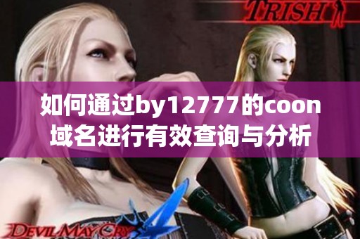 如何通过by12777的coon域名进行有效查询与分析