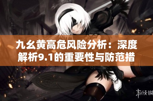 九幺黄高危风险分析：深度解析9.1的重要性与防范措施