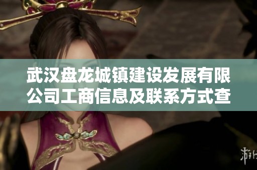 武汉盘龙城镇建设发展有限公司工商信息及联系方式查询指南