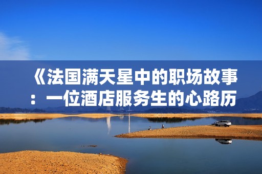 《法国满天星中的职场故事：一位酒店服务生的心路历程》