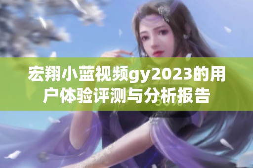 宏翔小蓝视频gy2023的用户体验评测与分析报告