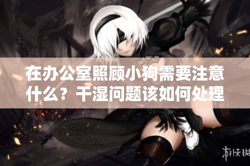 在办公室照顾小狗需要注意什么？干湿问题该如何处理