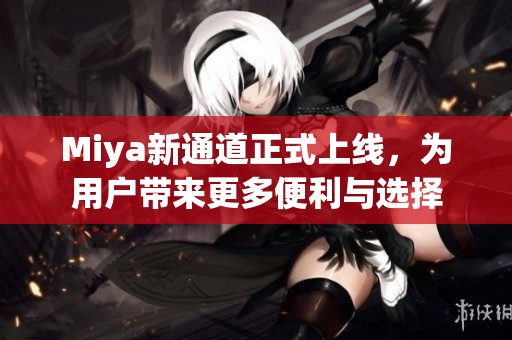 Miya新通道正式上线，为用户带来更多便利与选择
