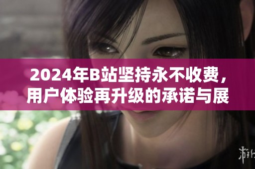 2024年B站坚持永不收费，用户体验再升级的承诺与展望