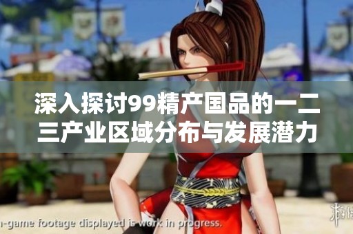 深入探讨99精产国品的一二三产业区域分布与发展潜力