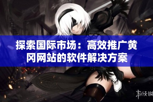 探索国际市场：高效推广黄冈网站的软件解决方案