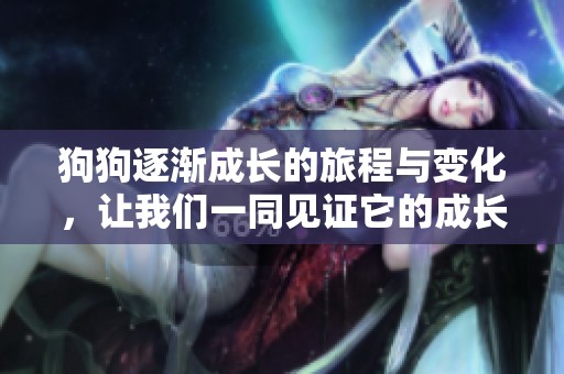 狗狗逐渐成长的旅程与变化，让我们一同见证它的成长故事