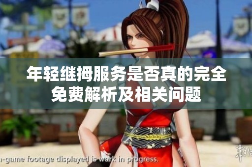 年轻继拇服务是否真的完全免费解析及相关问题