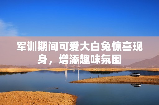 军训期间可爱大白兔惊喜现身，增添趣味氛围