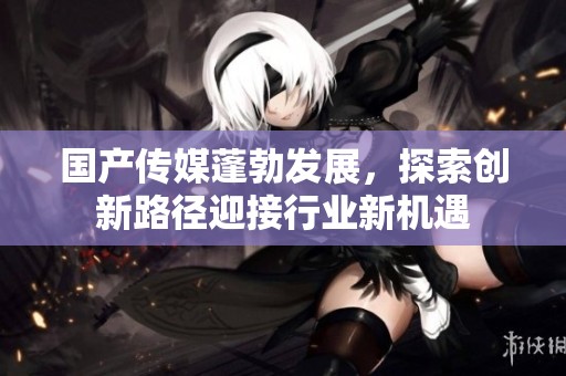 国产传媒蓬勃发展，探索创新路径迎接行业新机遇