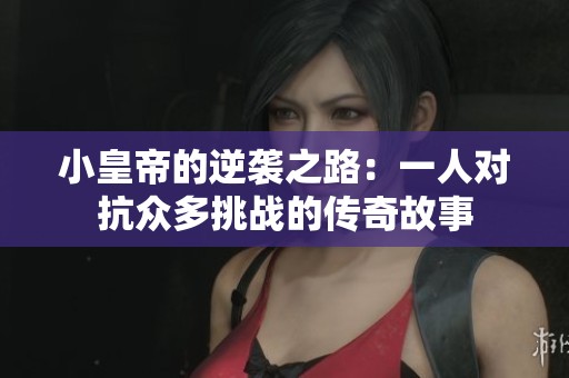 小皇帝的逆袭之路：一人对抗众多挑战的传奇故事