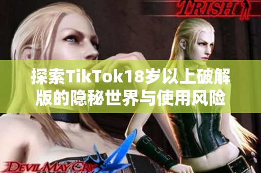 探索TikTok18岁以上破解版的隐秘世界与使用风险