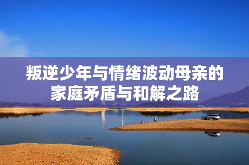 叛逆少年与情绪波动母亲的家庭矛盾与和解之路