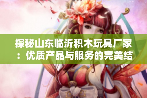 探秘山东临沂积木玩具厂家：优质产品与服务的完美结合