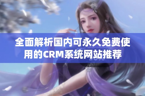 全面解析国内可永久免费使用的CRM系统网站推荐