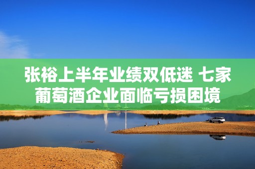 张裕上半年业绩双低迷 七家葡萄酒企业面临亏损困境