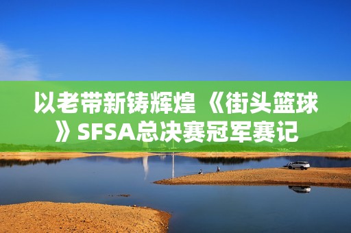 以老带新铸辉煌 《街头篮球》SFSA总决赛冠军赛记
