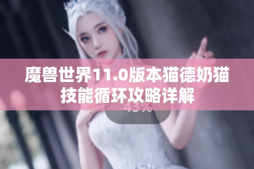 魔兽世界11.0版本猫德奶猫技能循环攻略详解