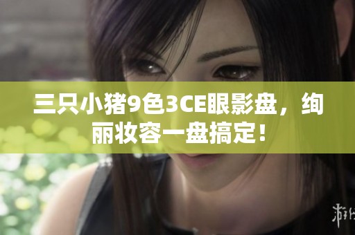 三只小猪9色3CE眼影盘，绚丽妆容一盘搞定！