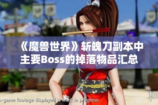 《魔兽世界》斩魄刀副本中主要Boss的掉落物品汇总