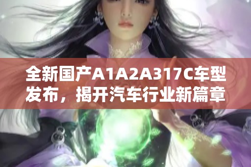 全新国产A1A2A317C车型发布，揭开汽车行业新篇章