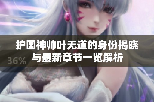 护国神帅叶无道的身份揭晓与最新章节一览解析