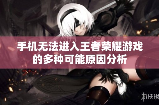 手机无法进入王者荣耀游戏的多种可能原因分析